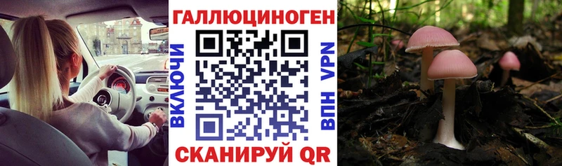Псилоцибиновые грибы GOLDEN TEACHER  Тюмень 